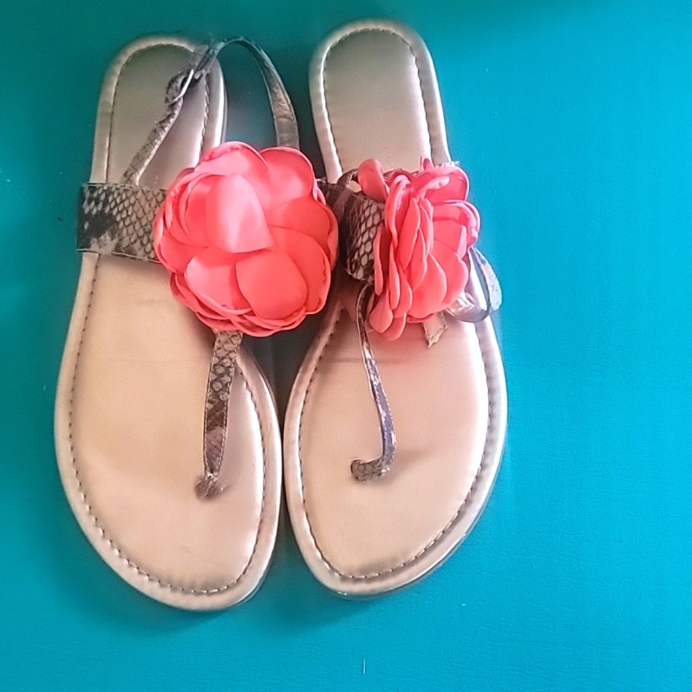 Bcbgeneration - image 1